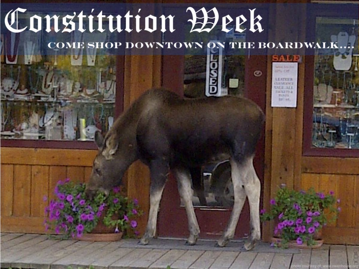 Slide 12 - Picture of a moose grazing on the plants along one of the shops on the board walk in downtown in Grand Lake, Colorado - Now with text supporting Constitution Week and why you should go shopping here in Grand Lake.